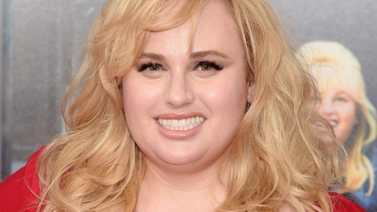 Rebel Wilson is most famous for her roles in Hollywood comedies Bridesmaids and Pitch Perfect.