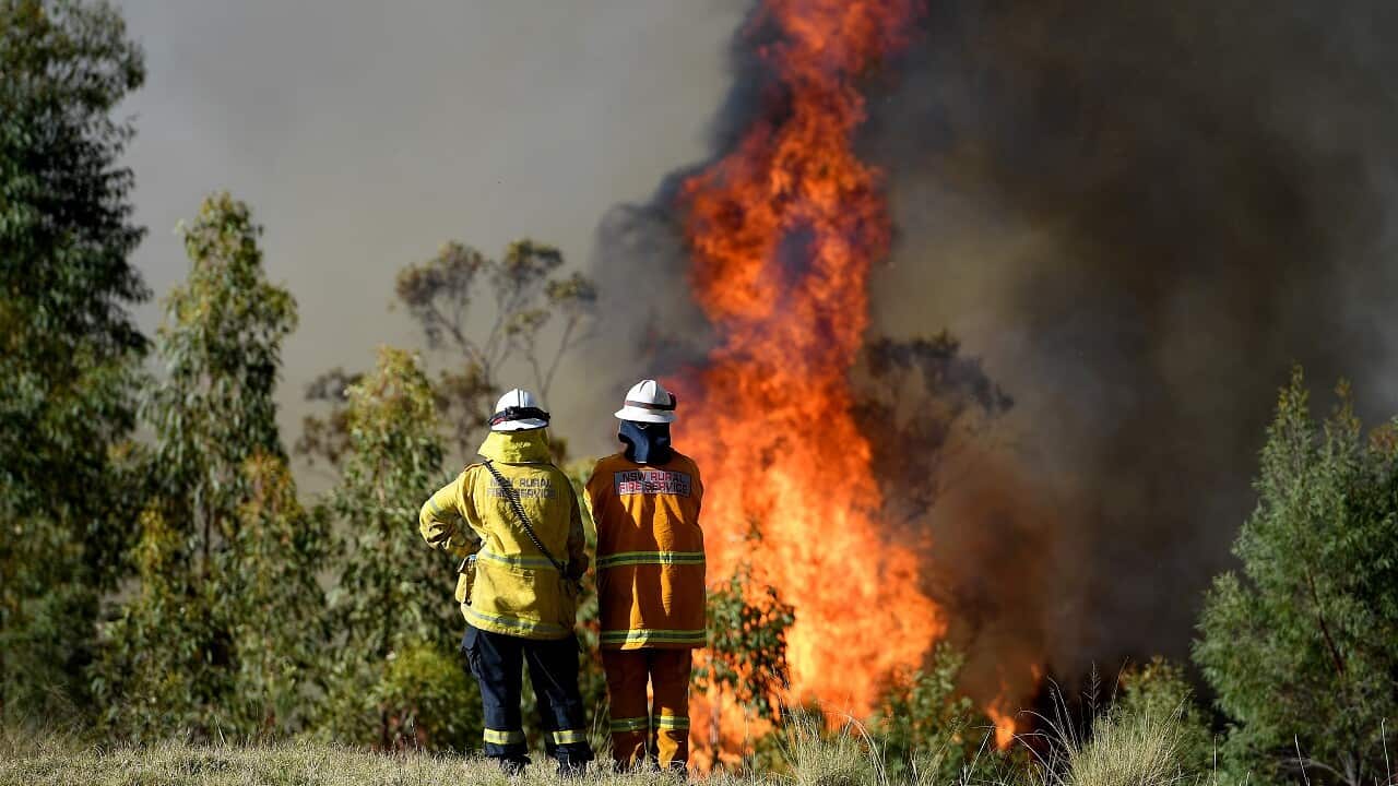 NSW Rural Fire Service crews in action earlier this month.