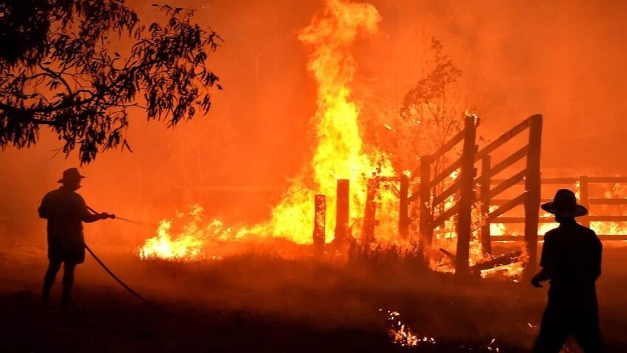 The report linked the recent severe bushfires in Australia to the growing impacts of climate change.