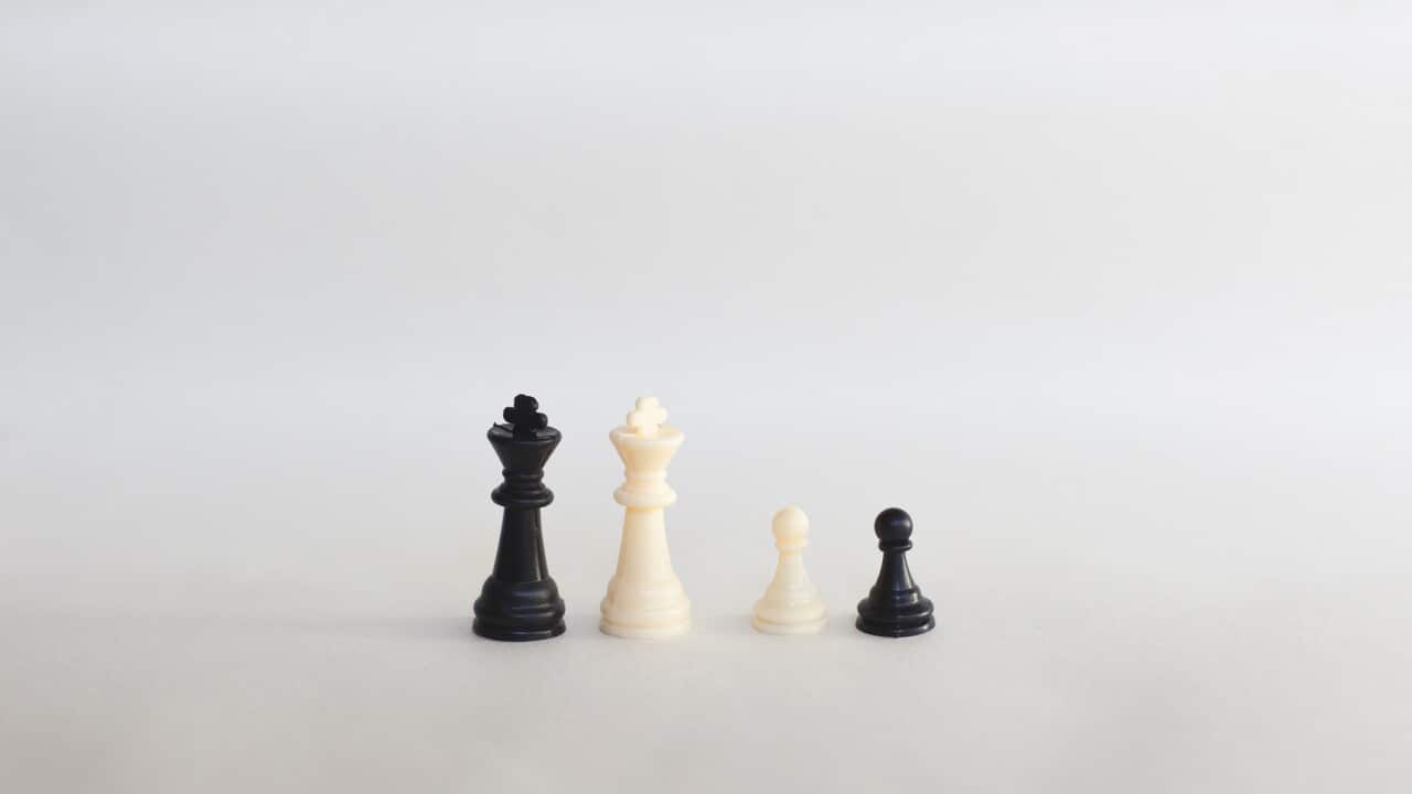 Photograph of some chess pieces that distinguish a homoparental family composed of two parents and two children