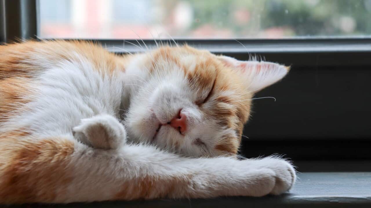 Image for read more article 'READ MORE'