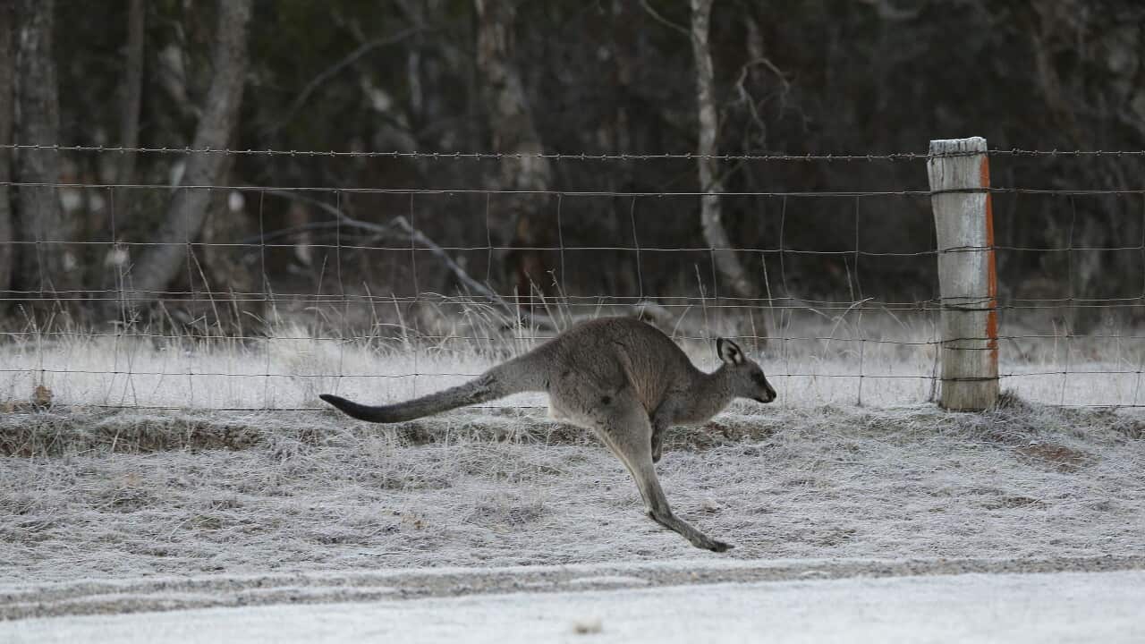 Australia Cold Weather
