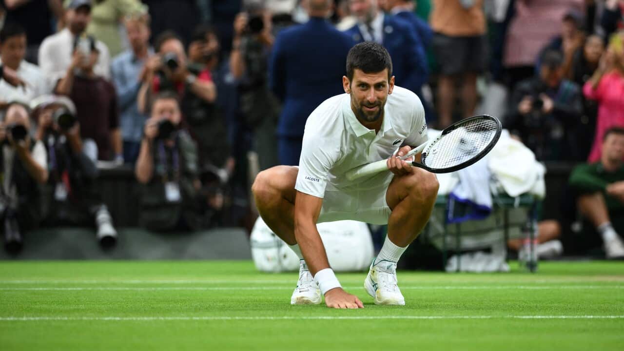 Novak Djokovic of Serbia touches grass as he celebrates after semi final win against Sinner at the 2023 Wimbledon