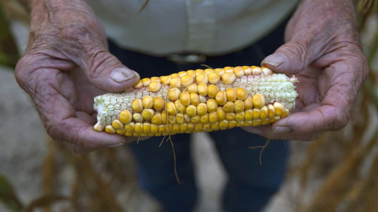 US drought rapidly intensifying
