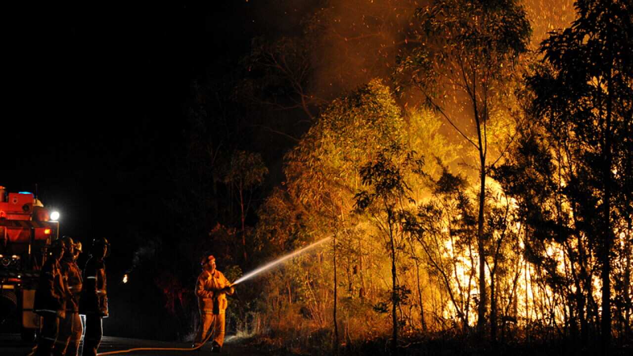 NSW RFS firefighters battle a bushfire at Springwood