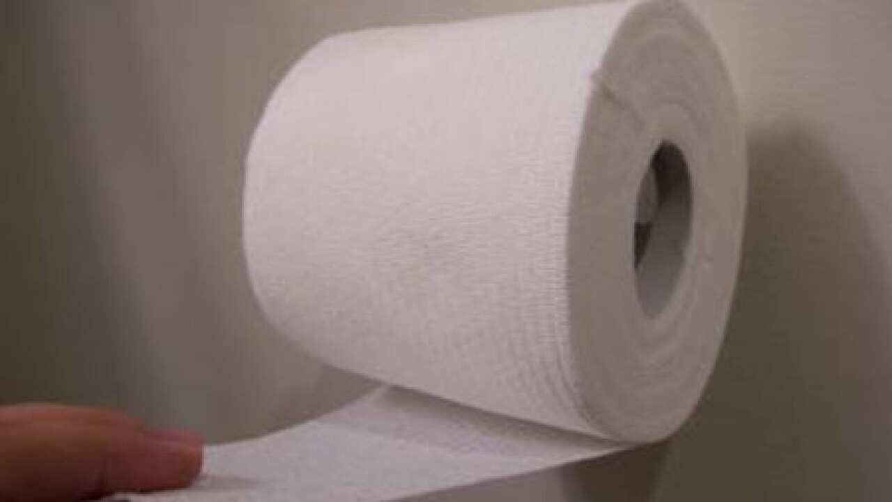 toilet_paper_B_0202_1173094246