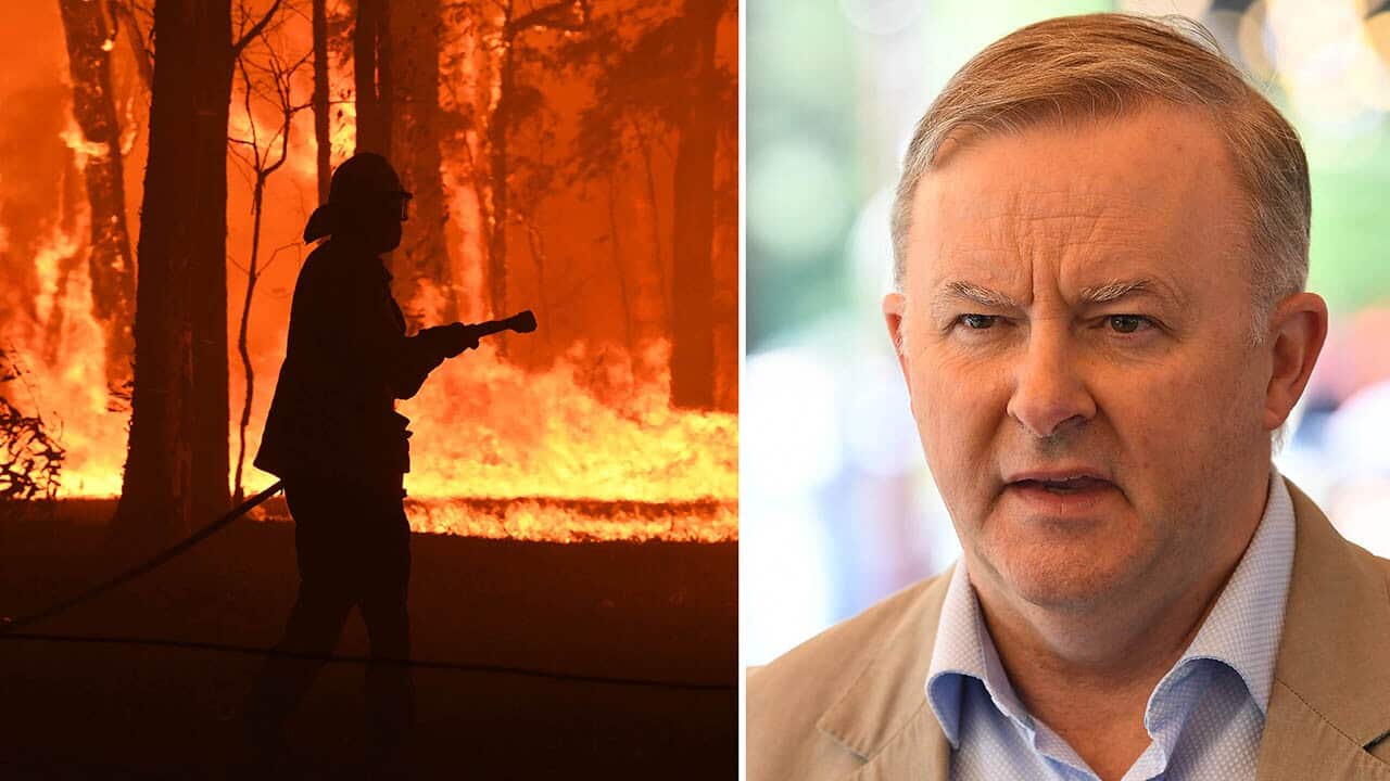 "The scale of this requires a national response, requires national leadership," said Opposition leader Anthony Albanese.