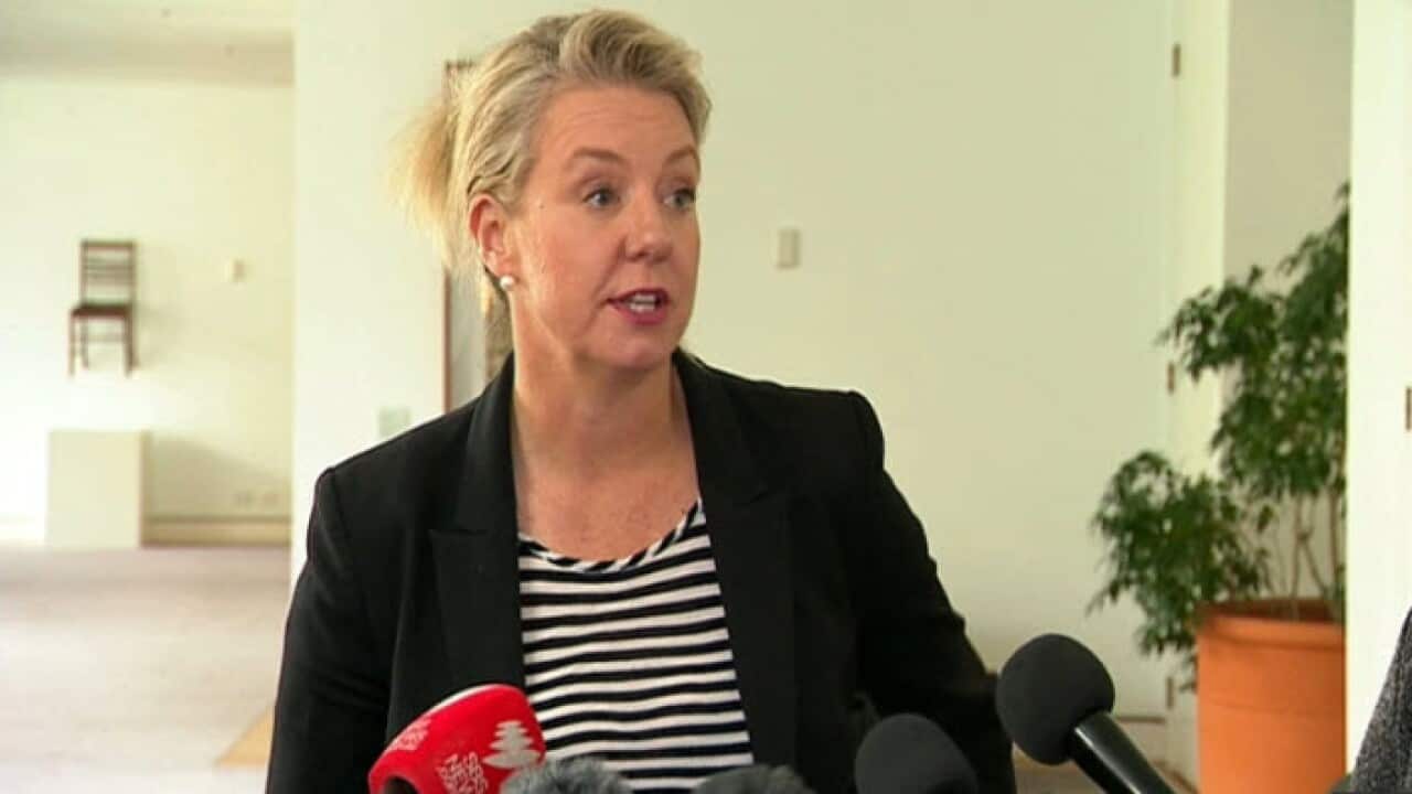 SBS News in Macedonian 22 January 2020,