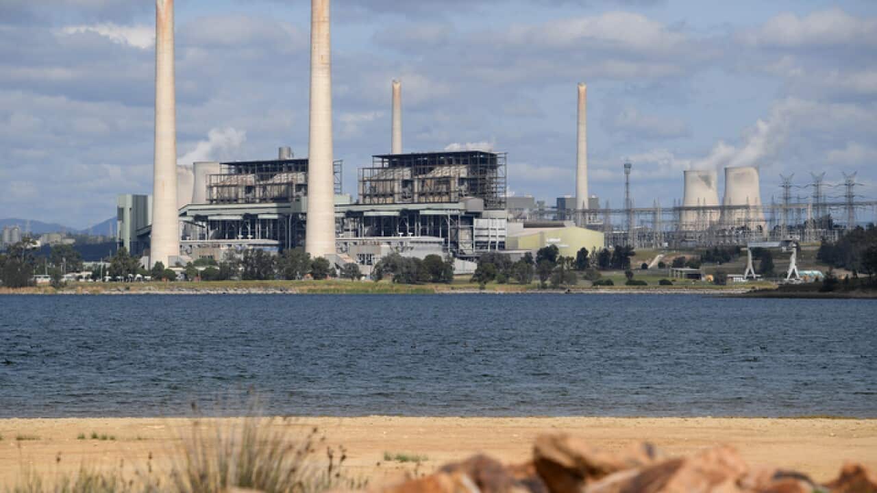 Liddell power station in Muswellbrook, in the NSW Hunter Valley