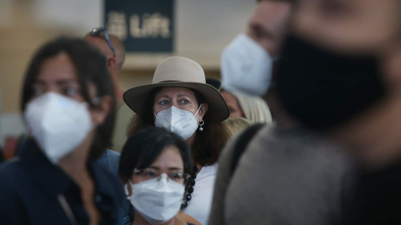 Domestic Travellers Experience Delays As Sydney Airport Faces Busiest Day In Two Years