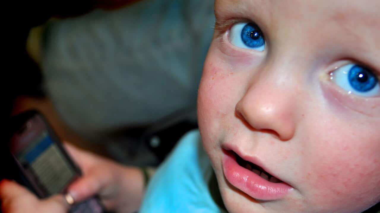 4078455034_52f41ec9a6_b.jpg