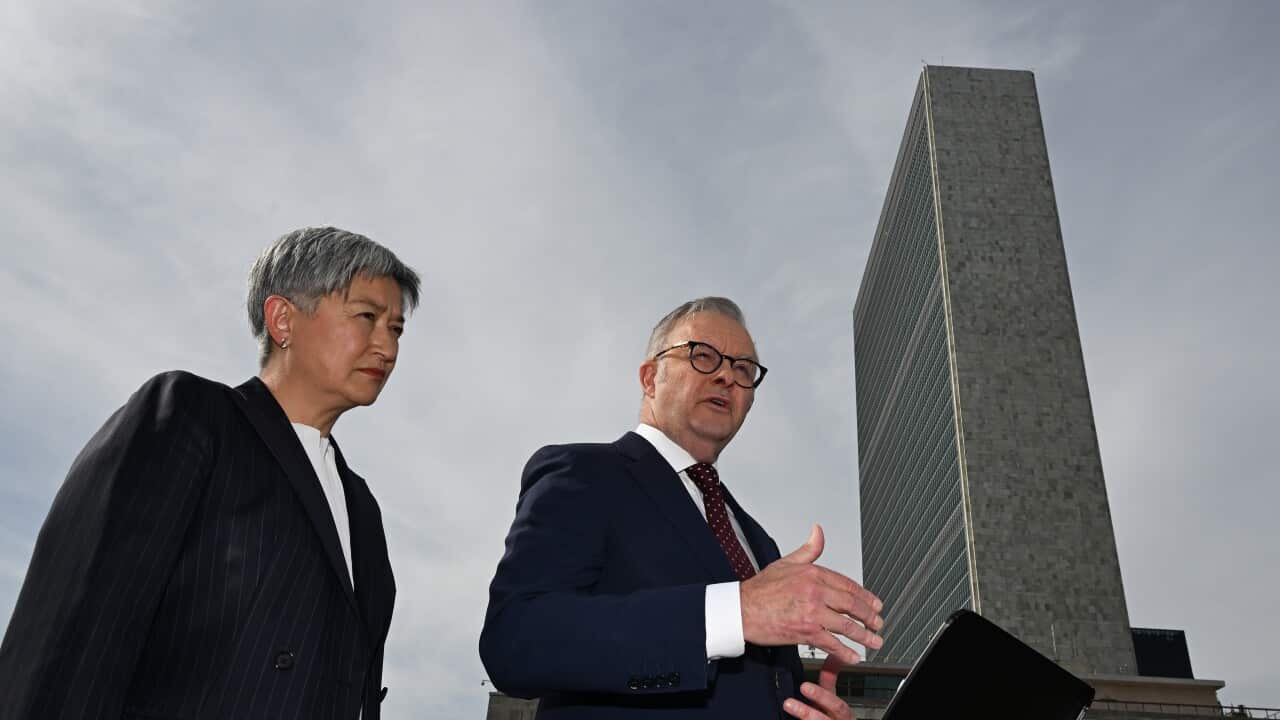 ANTHONY ALBANESE UNITED NATIONS