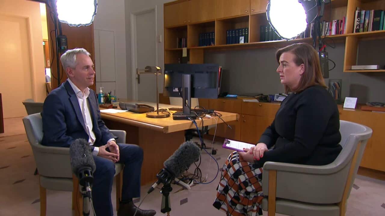 Immigration minister Andrew Giles talks to SBS's Anna Henderson (SBS).jpg