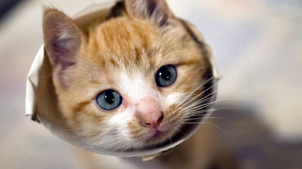 Image for read more article 'READ MORE'