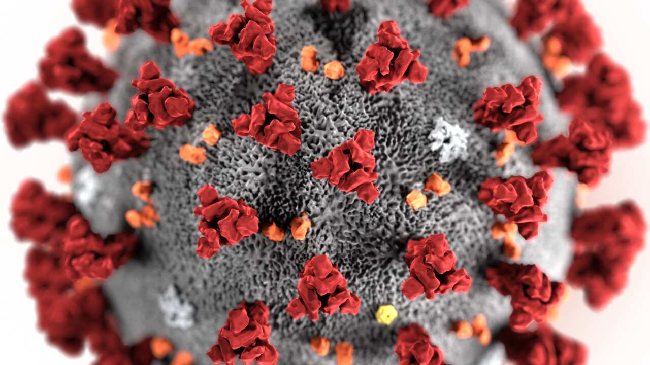 Coronavirus