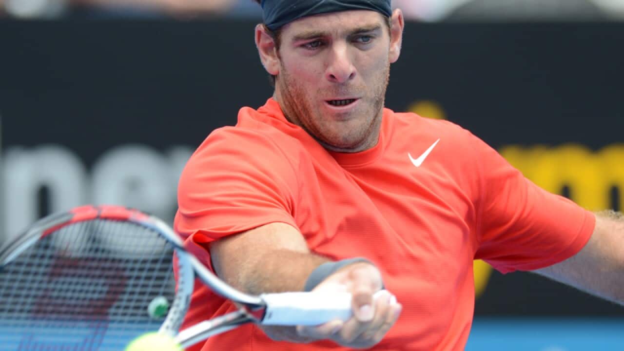 Tennis veteran Juan Martin del Potro