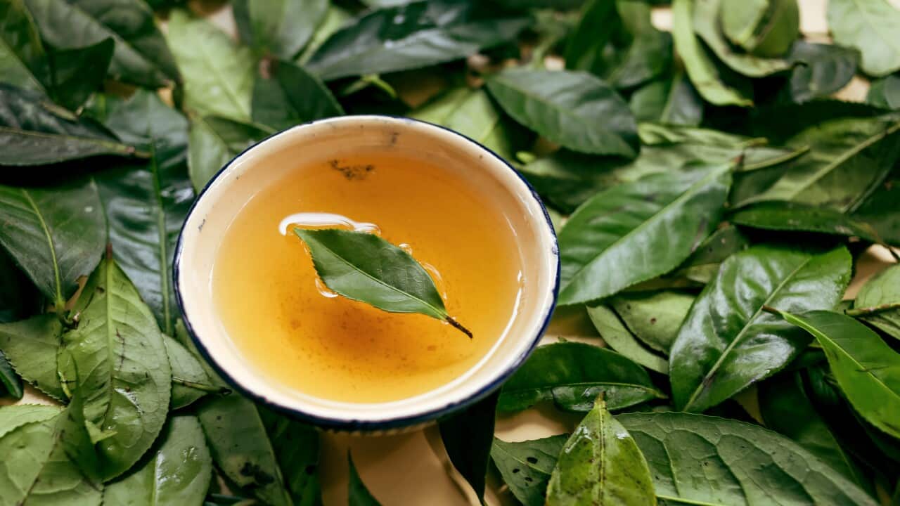 Traditional bowl of Vietnamese tea brewed from fresh green tea leaves