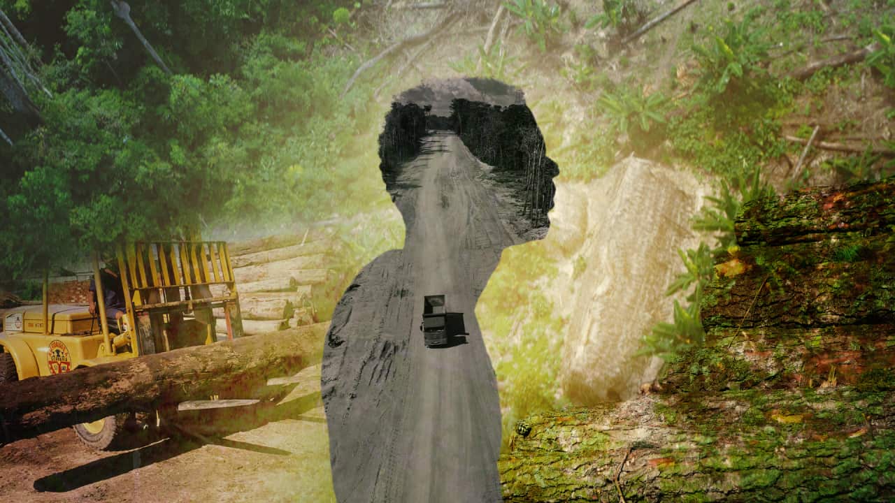 The silhouette of a person, over a background showing jungle in Brazil, with another image of machinery carrying logs.