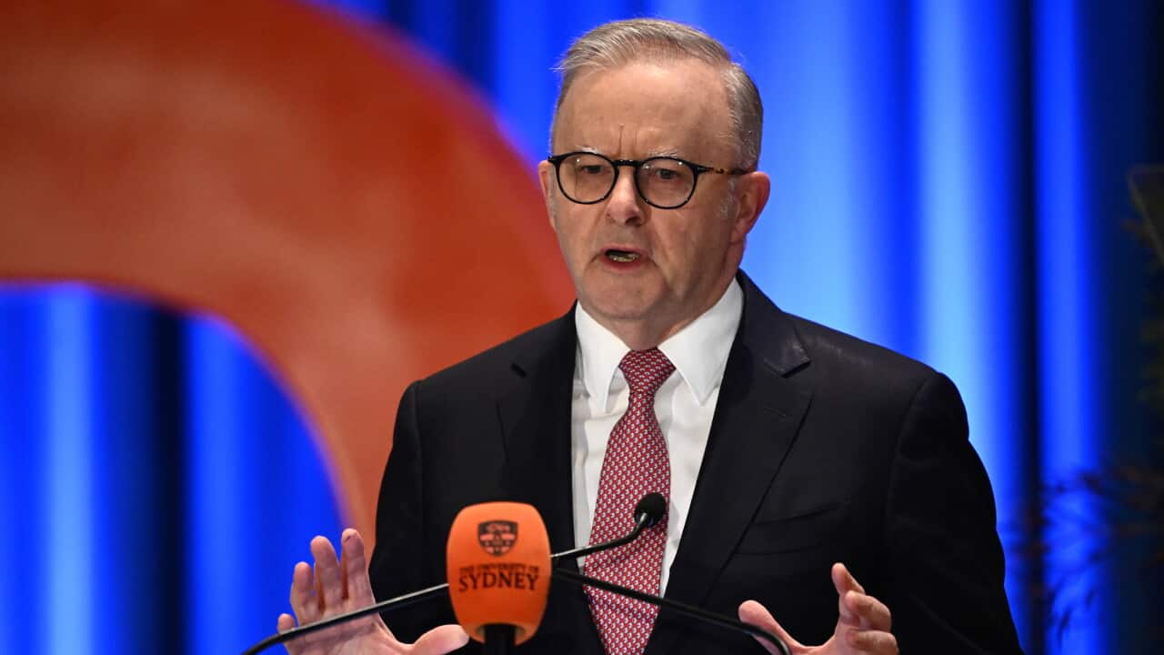 ANTHONY ALBANESE AI SPEECH