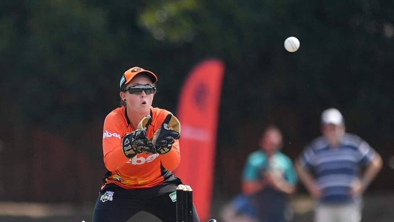 Perth Scorchers wicket keeper Emily Smith in action