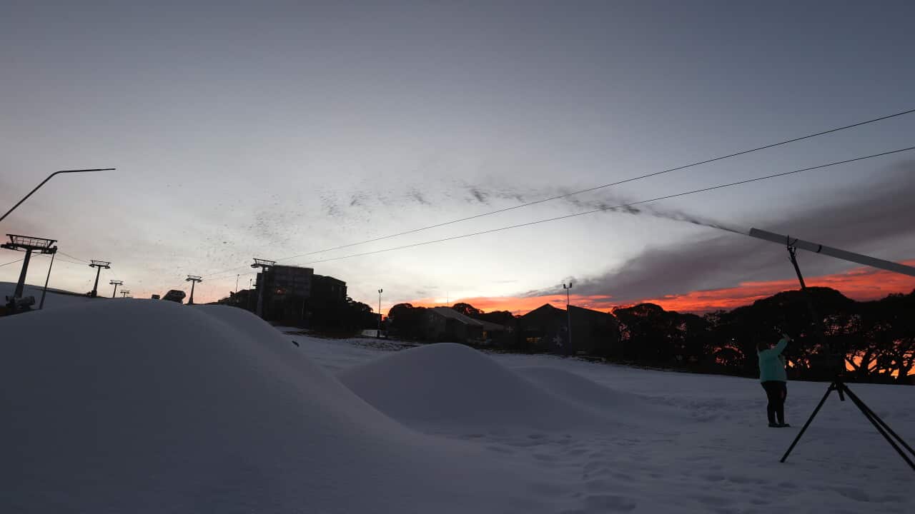 A snow-making machine producing snow at a ski resort. The sun is setting in the background.