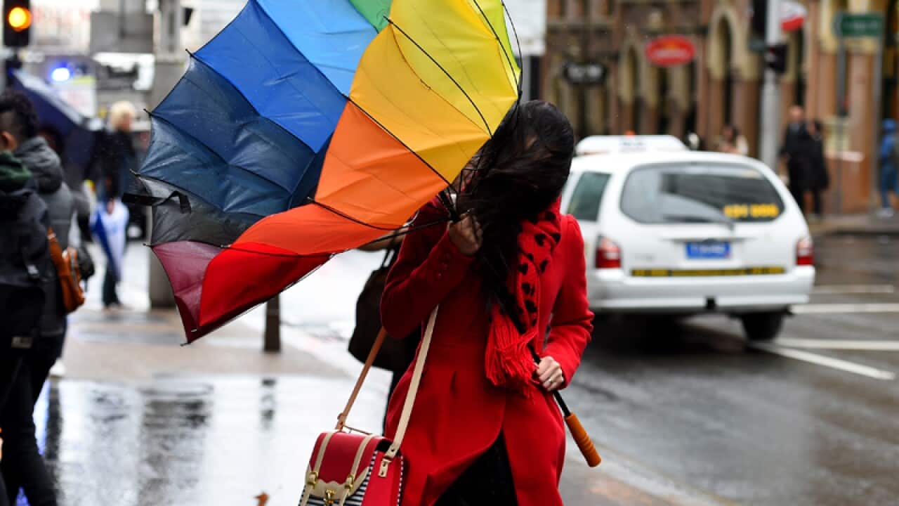 A woman fights the wind with her umbrella