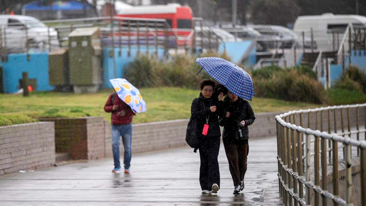 WET WEATHER SYDNEY