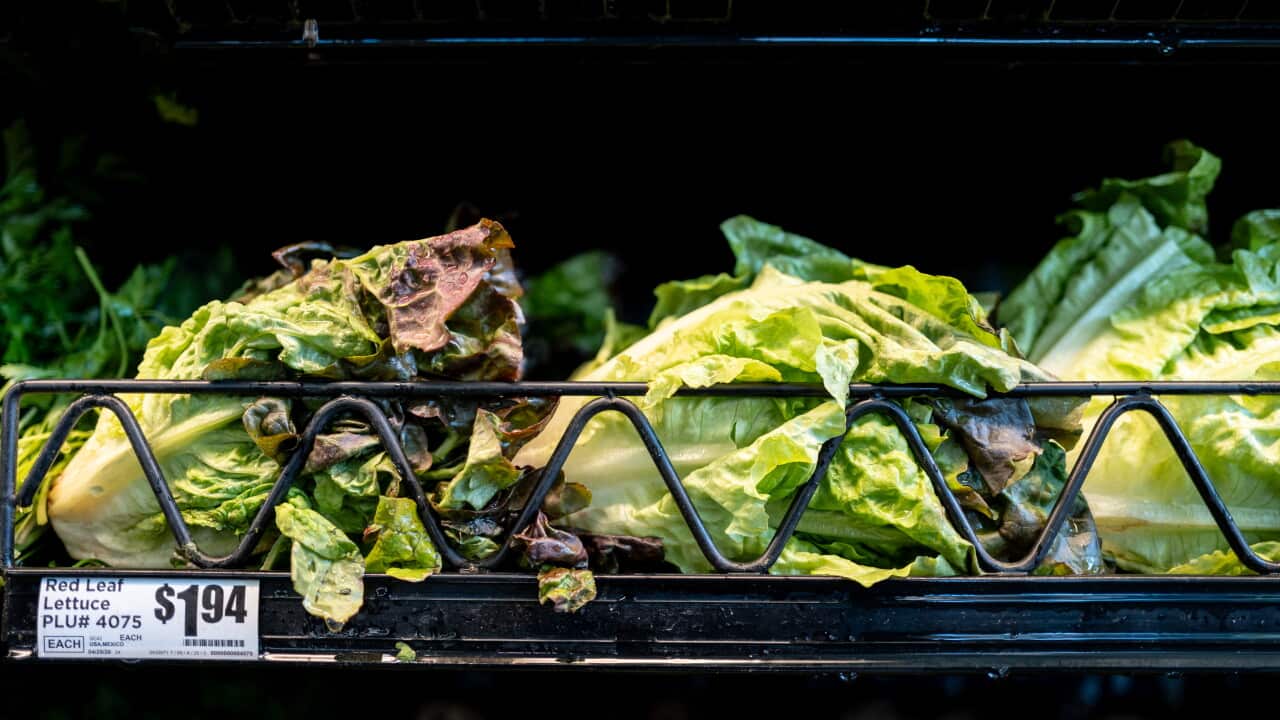 Health authorities in dozens of states are scrambling to trace the outbreak's origins.