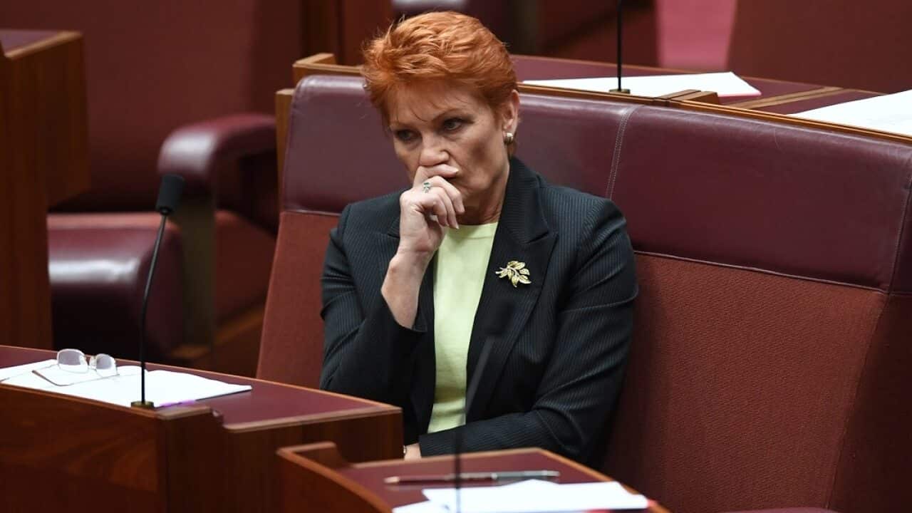 One Nation party leader Pauline Hanson