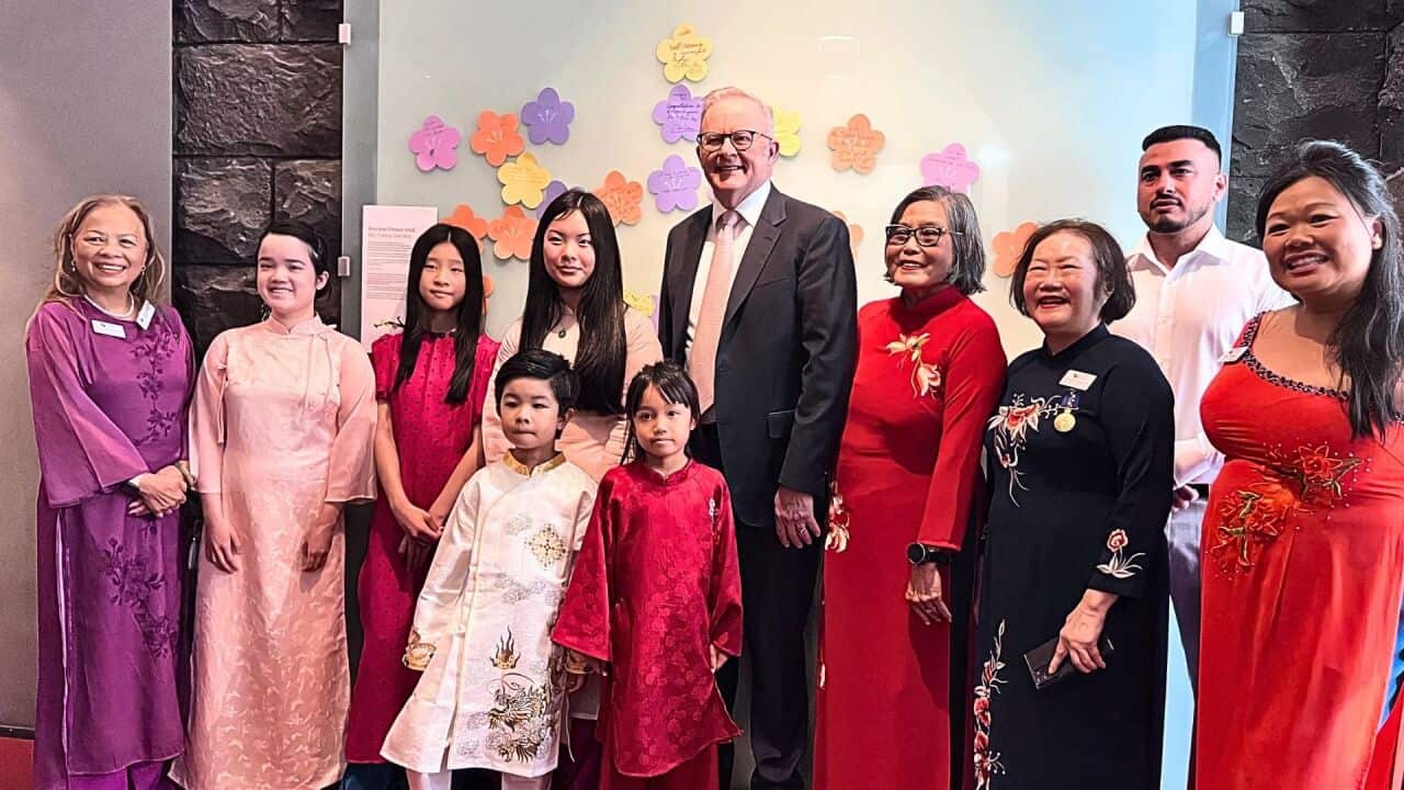 Untitled design (13).jpg