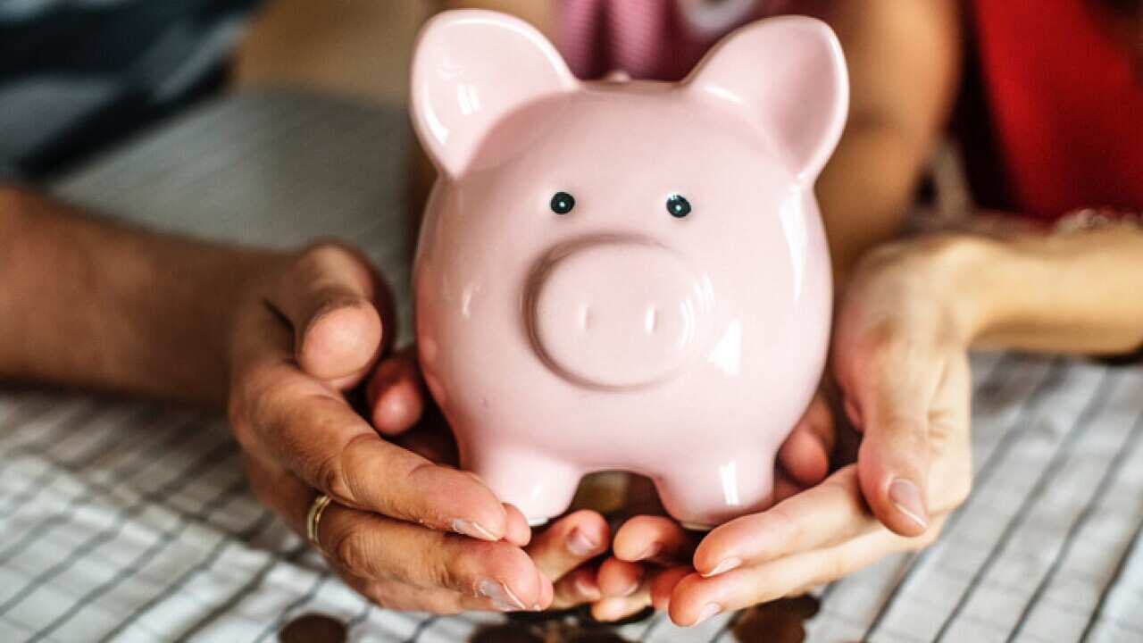 piggy bank