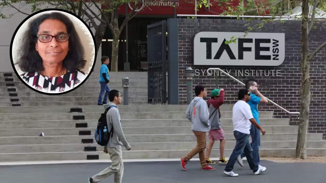 image (5).jpg