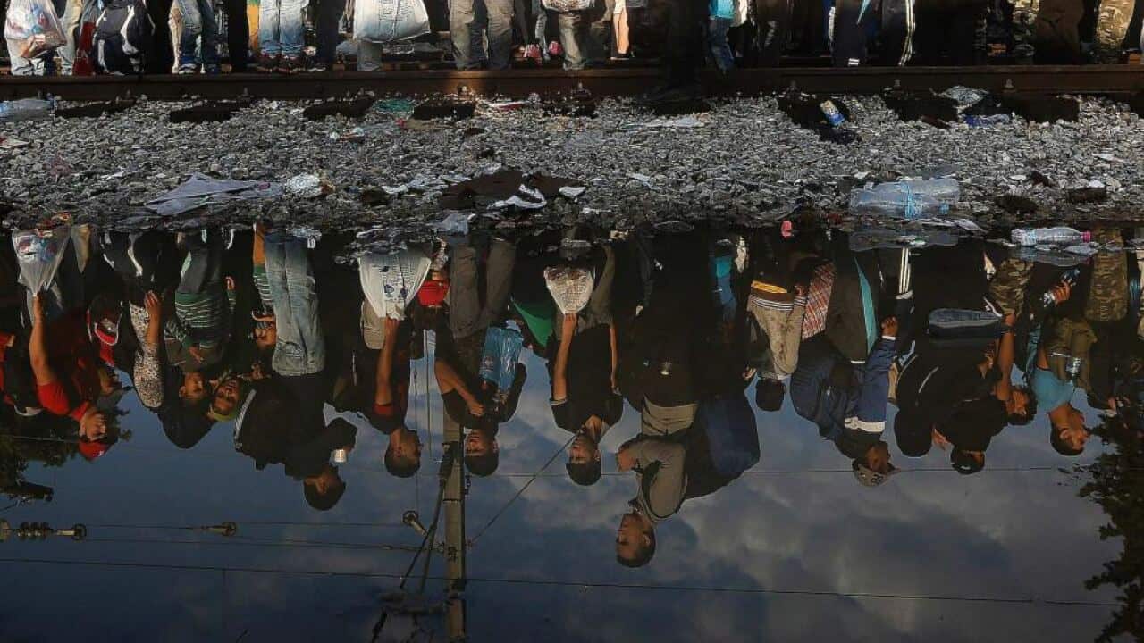 Syrian refugees selling their organs on the black market to get to Europe: experts