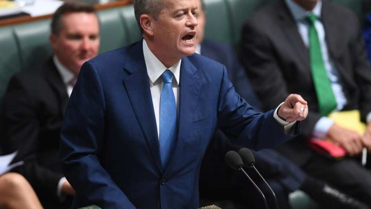 Australian Opposition Leader Bill Shorten speaks in parliament.