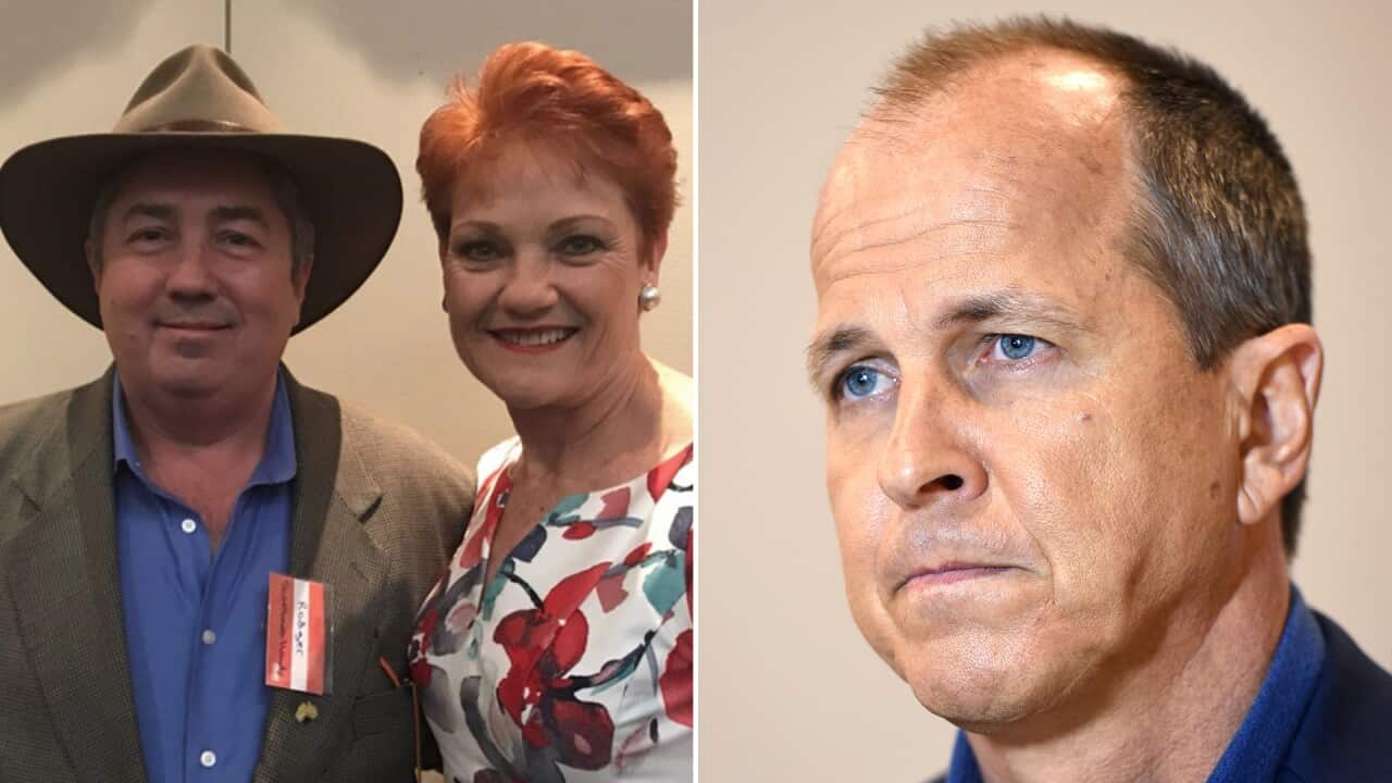 Peter Greste slams One Nation investigation.