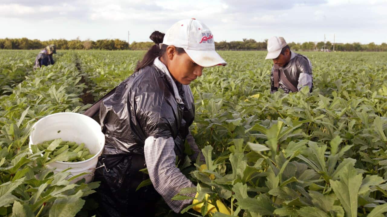 The Fairwork Commission said the existing piecework provisions were "not fit for purpose".