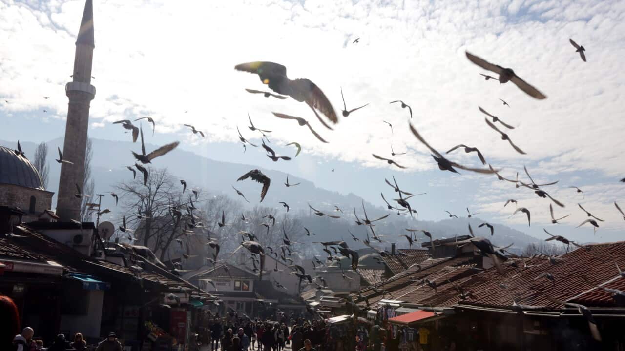 Pigeons fly over the old part of Sarajevo