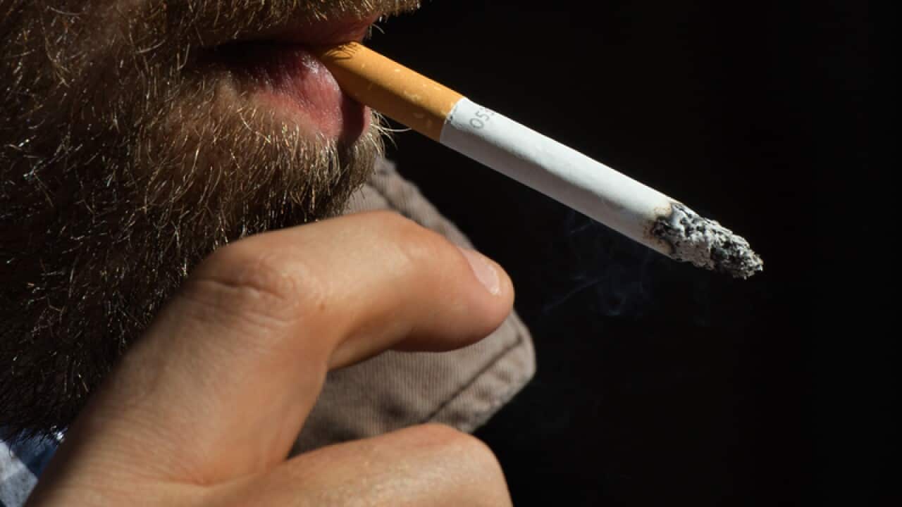 non addictive herbal cigarettes Think nicotine-free or herbal cigarettes are safe? Think again., These alternatives still contain harmful chemicals, including cancer-causing substances, making them just as dangerous as regular non addictive herbal cigarettes Think nicotine-free or herbal cigarettes are safe? Think again., These alternatives still contain harmful chemicals, including cancer-causing substances, making them just as dangerous as regular
