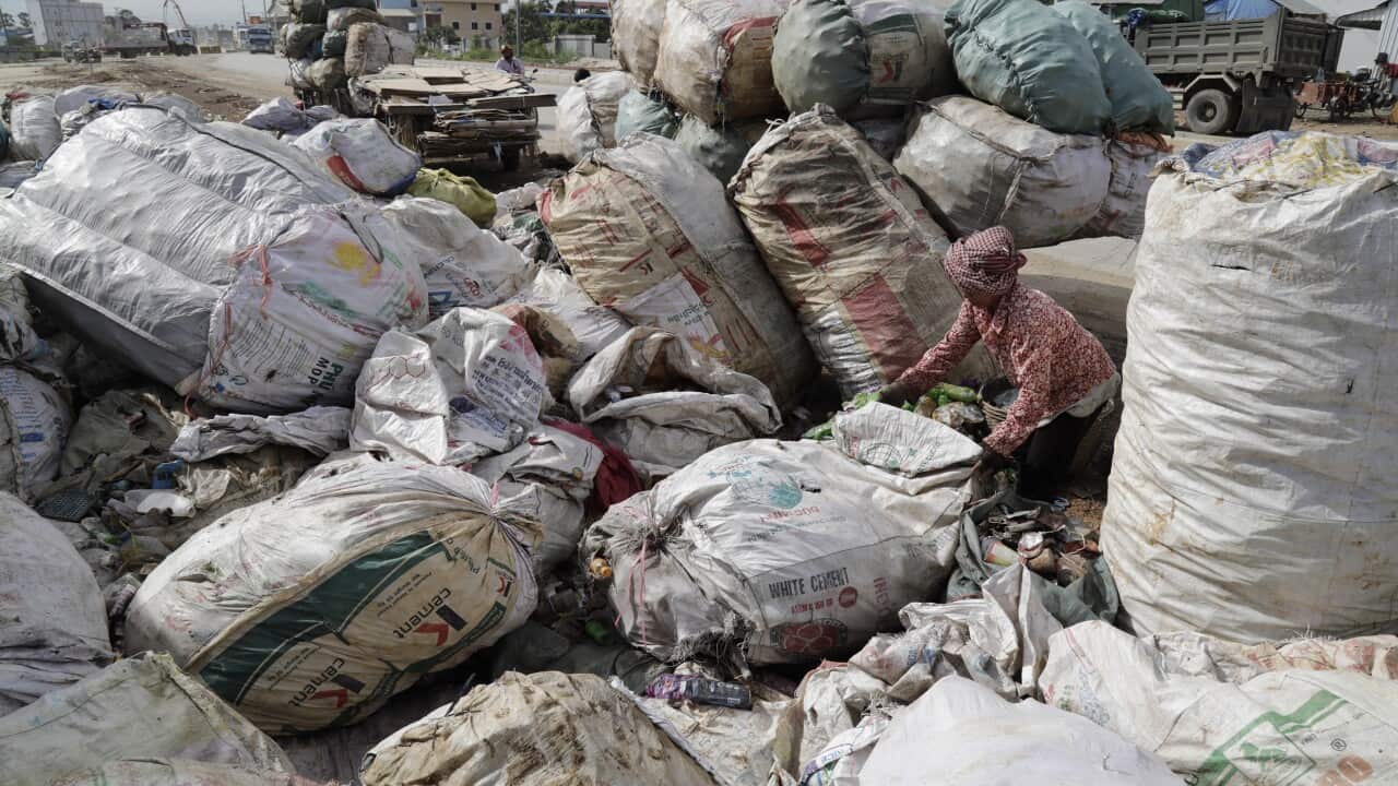 A Cambodian woman collects plastic bottles and other resalable items near a dumpsite on the outskirts of Phnom Penh, Cambodia.