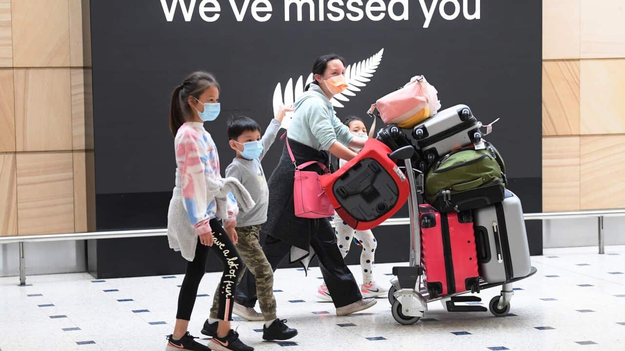 Passengers from New Zealand arrive at Sydney International Airport in Sydney, Friday