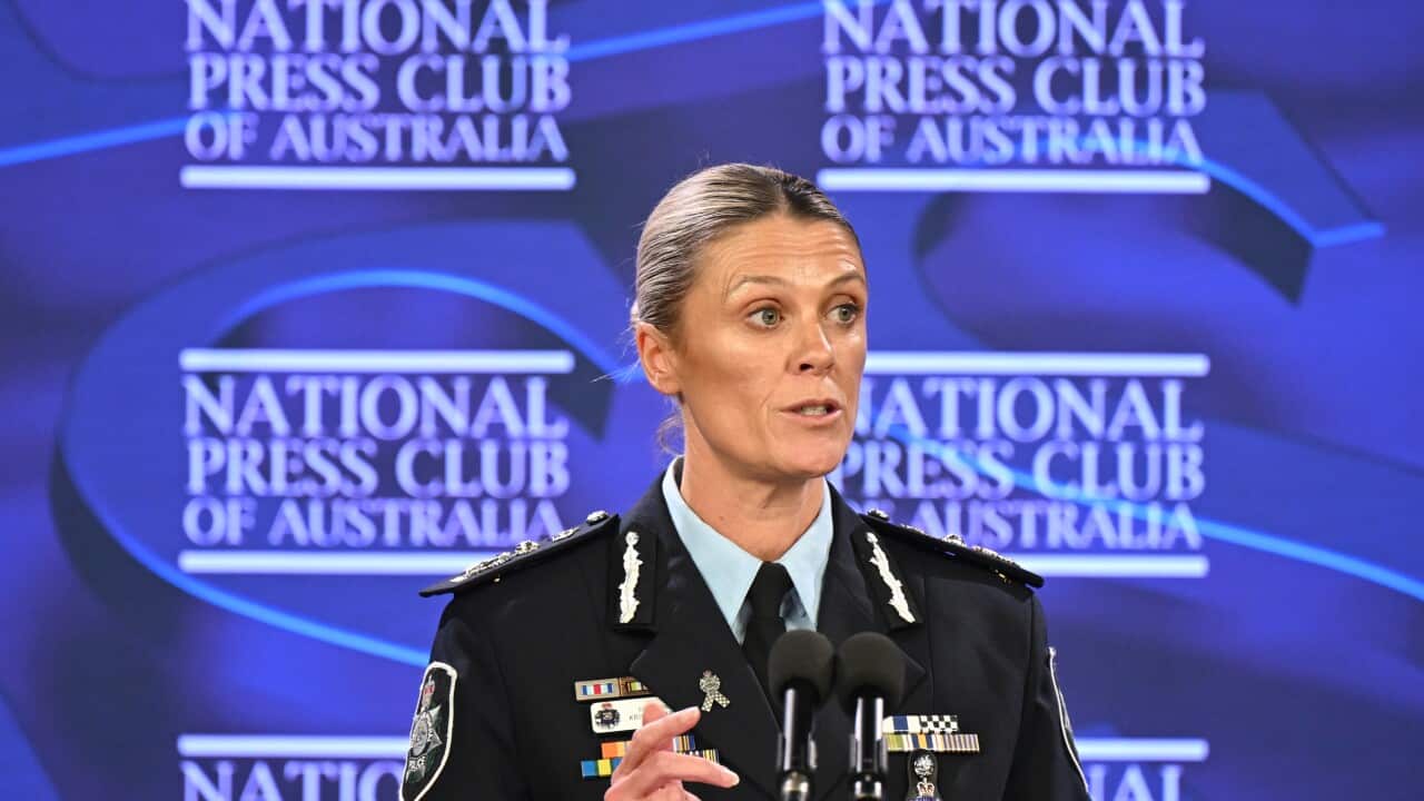 Image for read more article 'පසුගිය SBS සිංහල පුවත්'