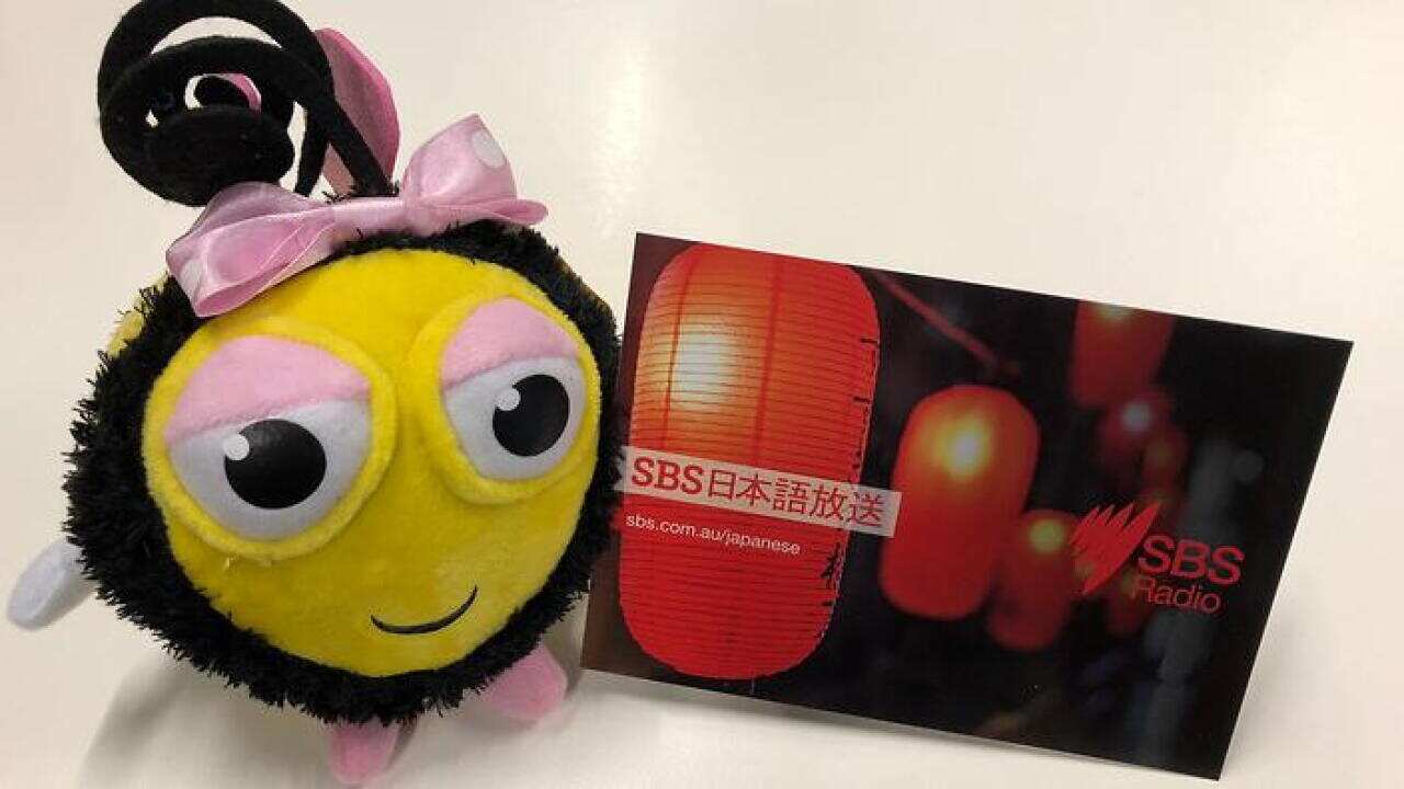 japanese study children bilingual