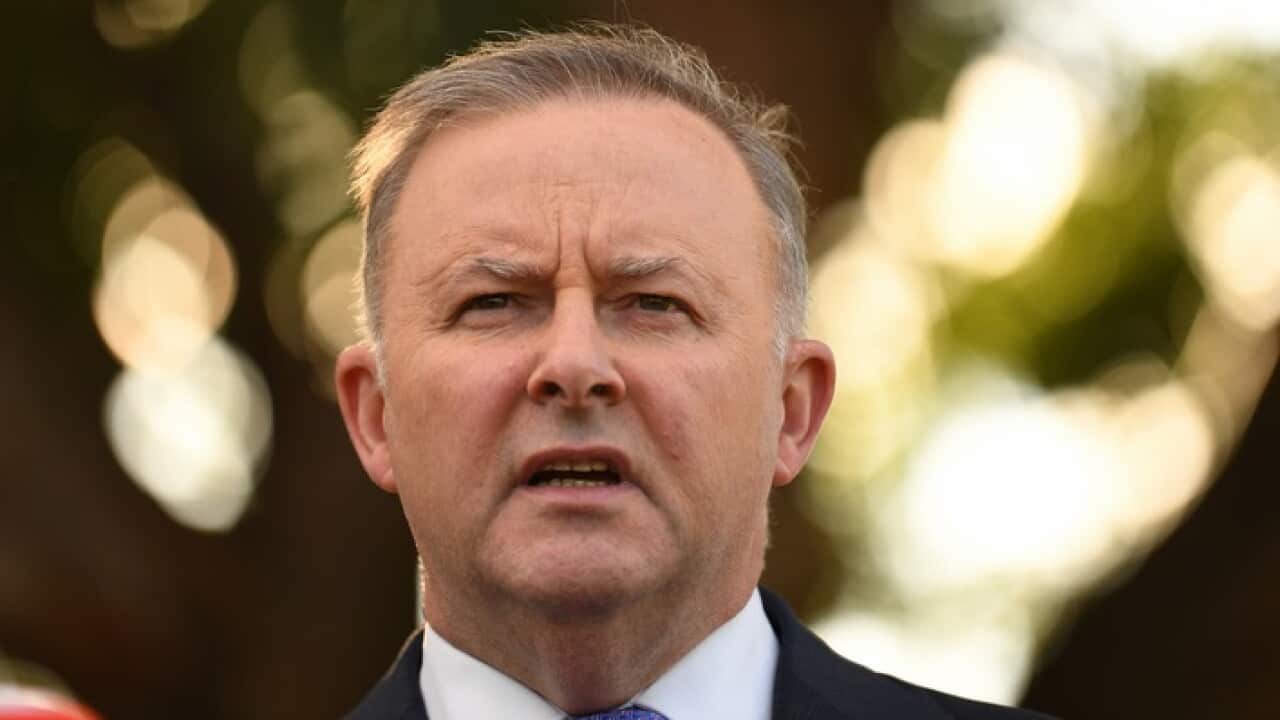 labor Anthony Albanese