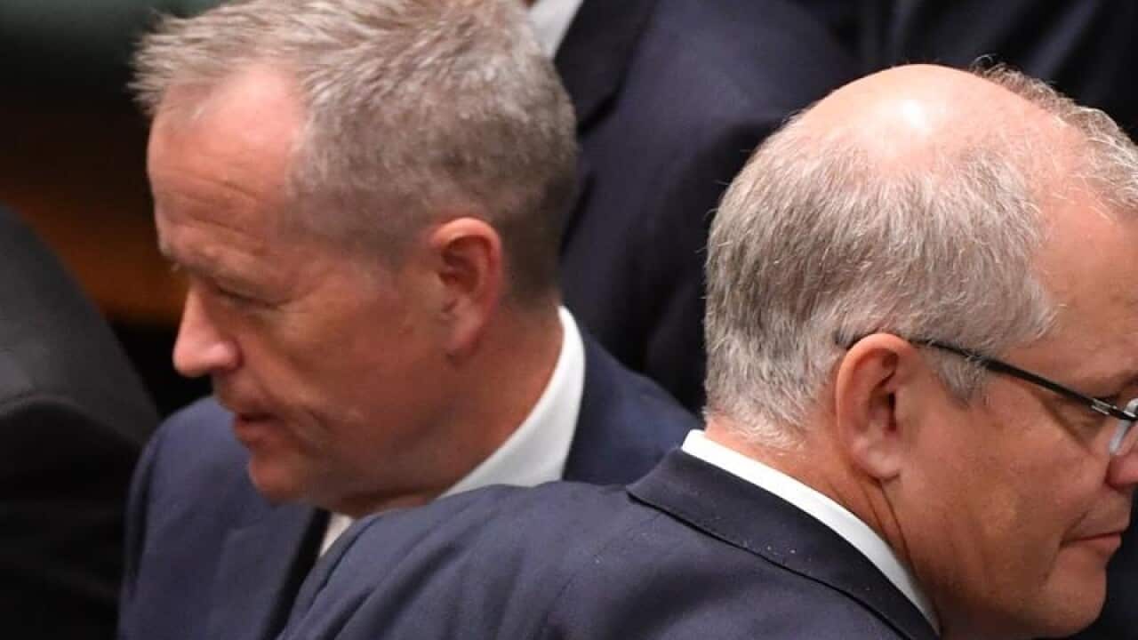 Bill Shorten and Scott Morrison in parliament (file image)