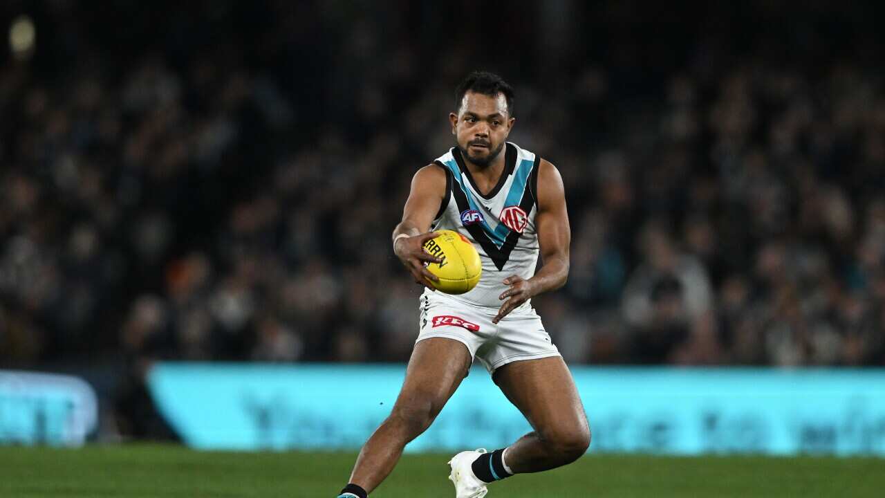 Wili Rioli 'I have given all I can': Port Adelaide star forward Willie Rioli has ...