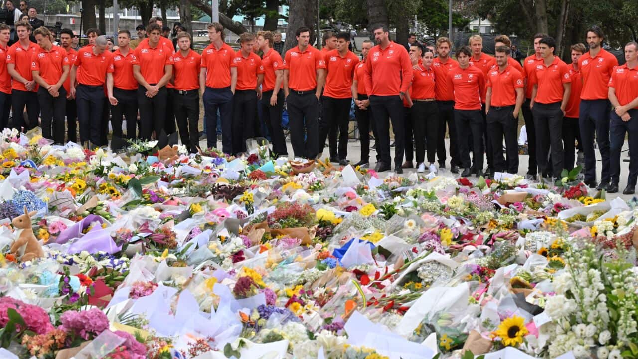 Image for read more article '更多內容'