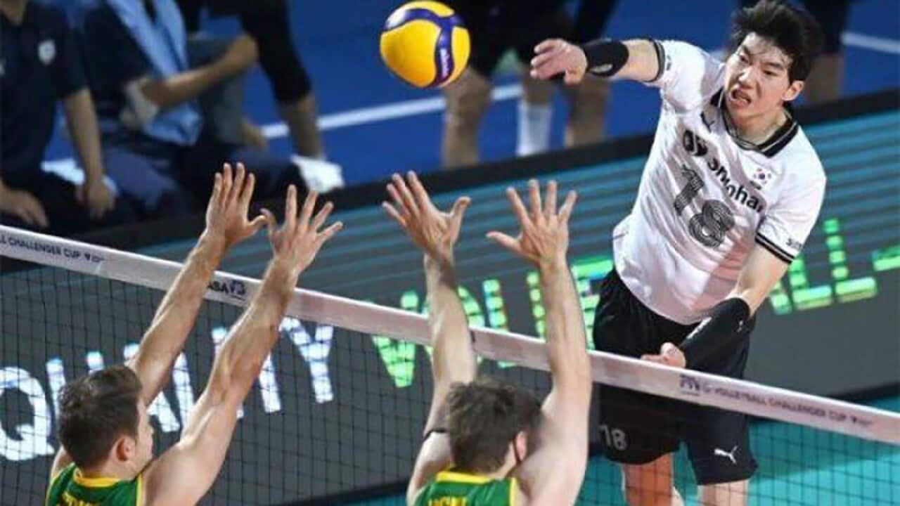 Image for read more article 'READ MORE'