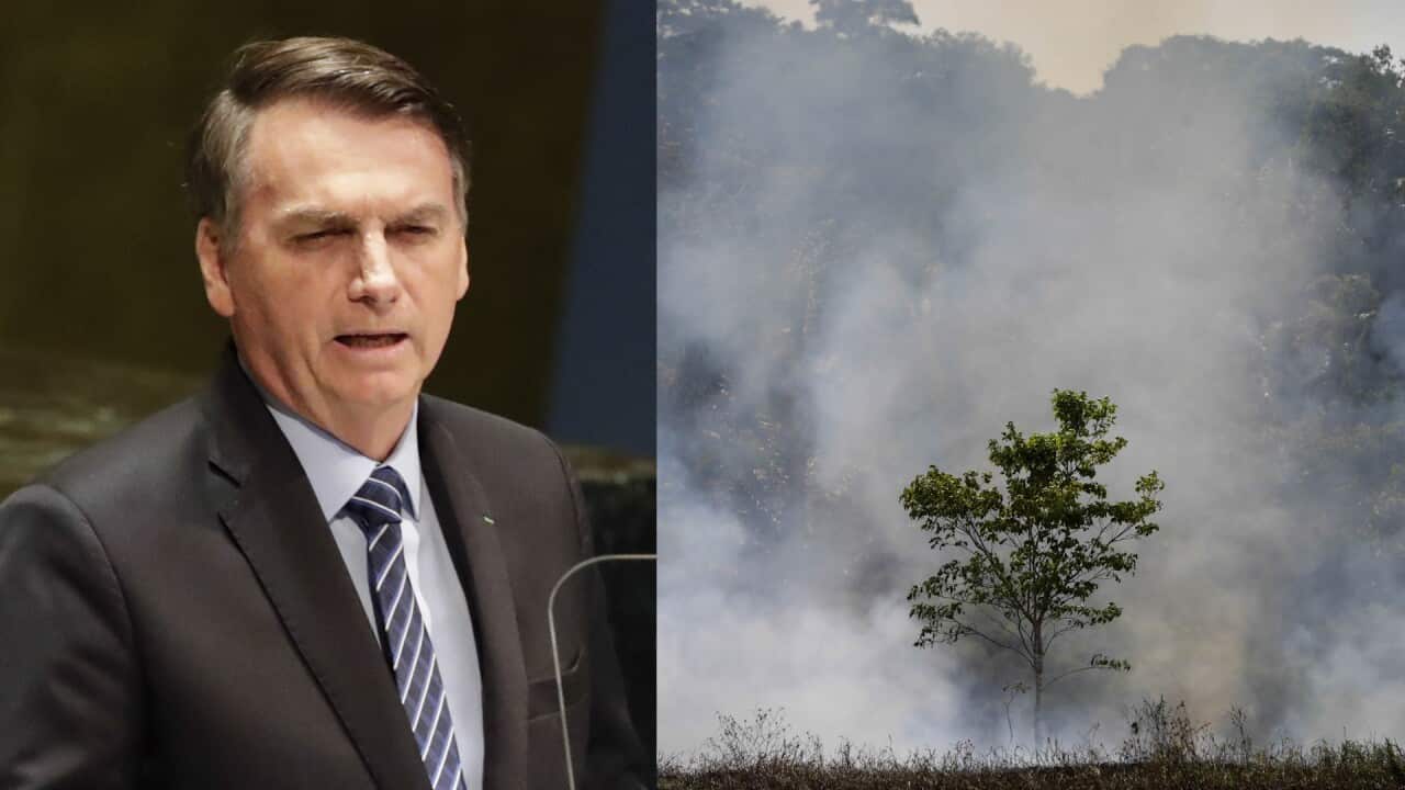 Brazil's President Jair Bolsonaro said Tuesday it was a lie that the Amazon was being devastated by fire.