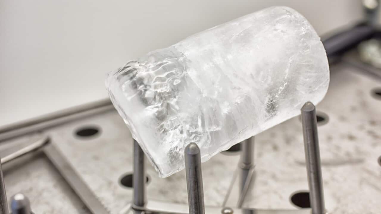 Tiny particles known as microplastics were found in record levels in Arctic sea ice earlier this year.