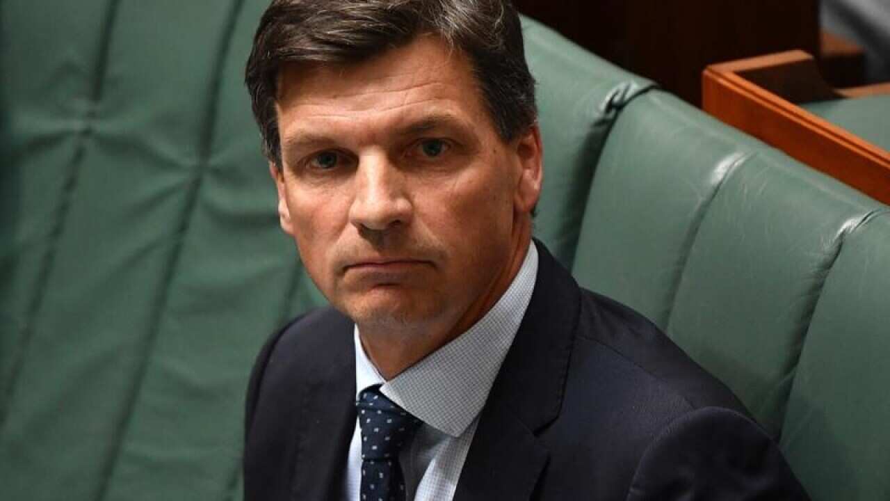 Minister for Energy Angus Taylor